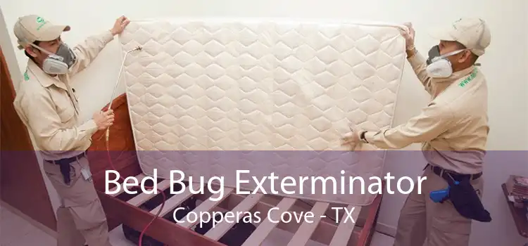 Bed Bug Exterminator Copperas Cove - TX