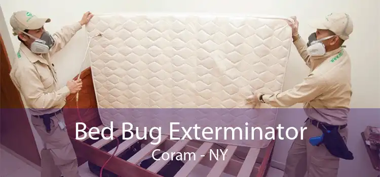 Bed Bug Exterminator Coram - NY