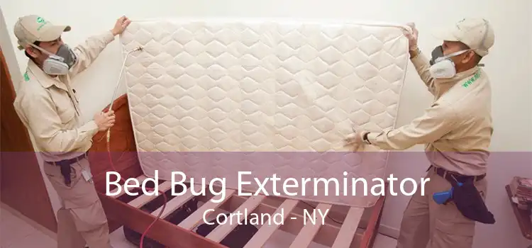 Bed Bug Exterminator Cortland - NY