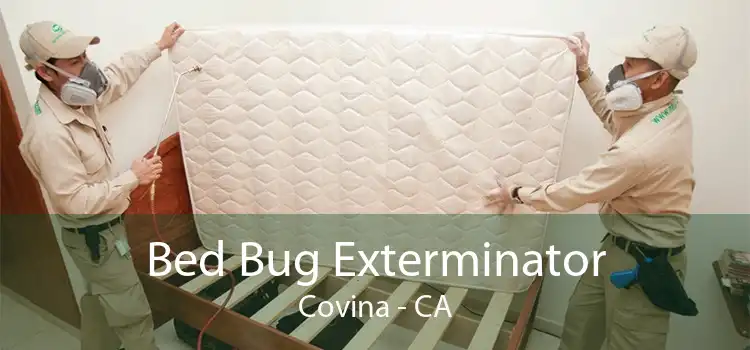 Bed Bug Exterminator Covina - CA