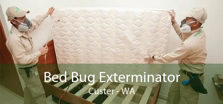 Bed Bug Exterminator Custer - WA