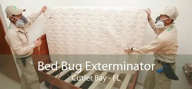 Bed Bug Exterminator Cutler Bay - FL