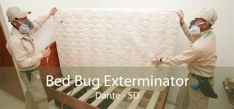 Bed Bug Exterminator Dante - SD