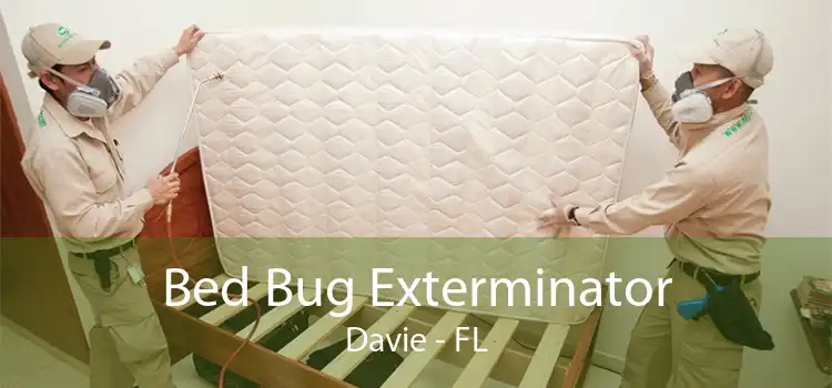 Bed Bug Exterminator Davie - FL