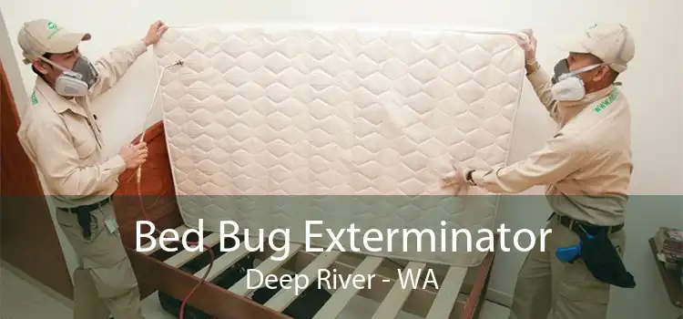 Bed Bug Exterminator Deep River - WA