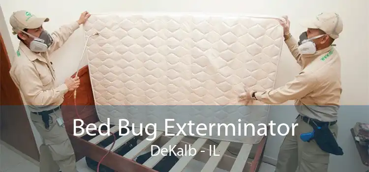 Bed Bug Exterminator DeKalb - IL