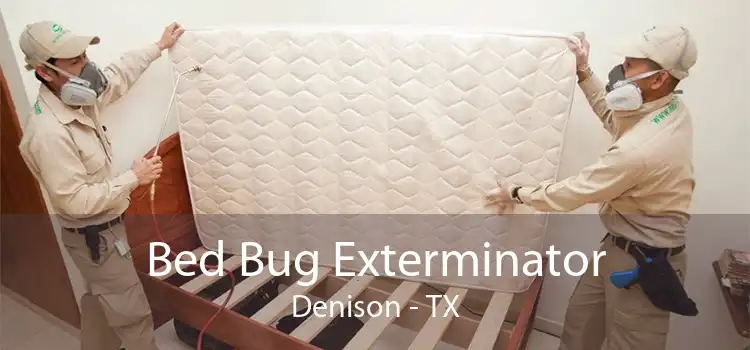 Bed Bug Exterminator Denison - TX