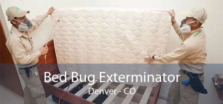 Bed Bug Exterminator Denver - CO