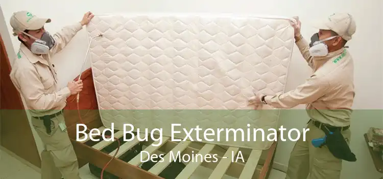 Bed Bug Exterminator Des Moines - IA