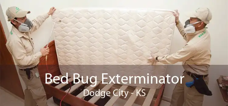 Bed Bug Exterminator Dodge City - KS