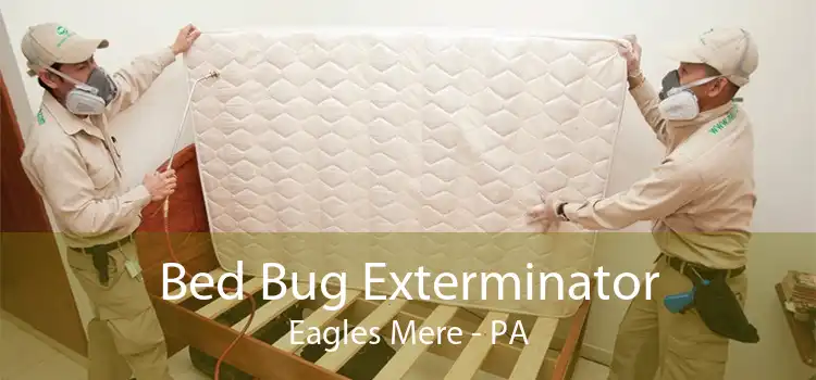 Bed Bug Exterminator Eagles Mere - PA