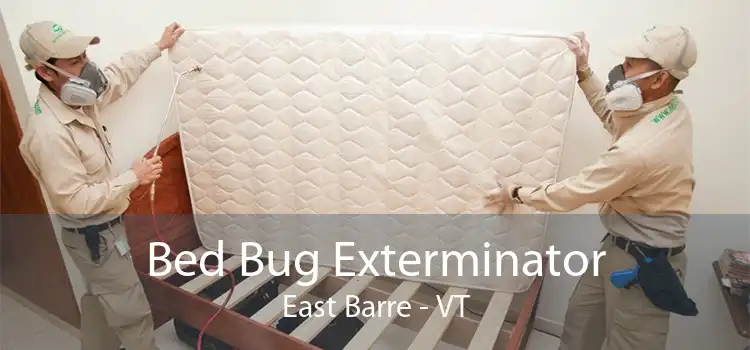 Bed Bug Exterminator East Barre - VT
