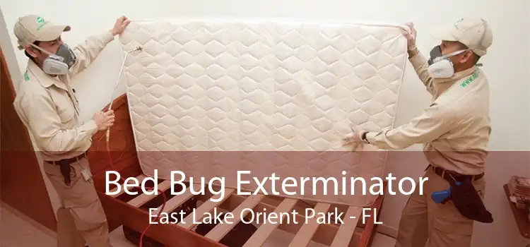 Bed Bug Exterminator East Lake Orient Park - FL