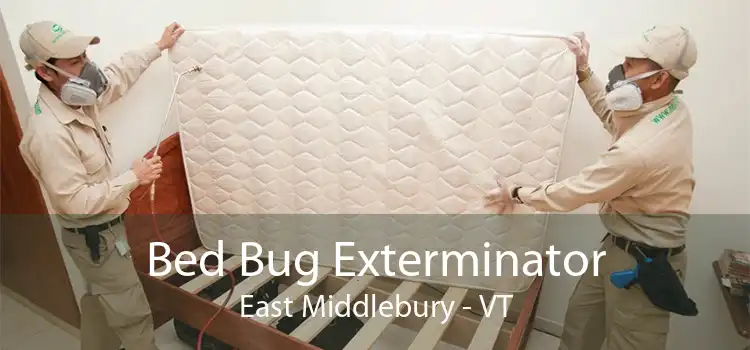 Bed Bug Exterminator East Middlebury - VT