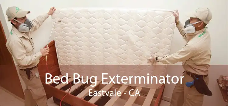 Bed Bug Exterminator Eastvale - CA