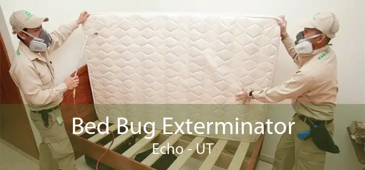 Bed Bug Exterminator Echo - UT