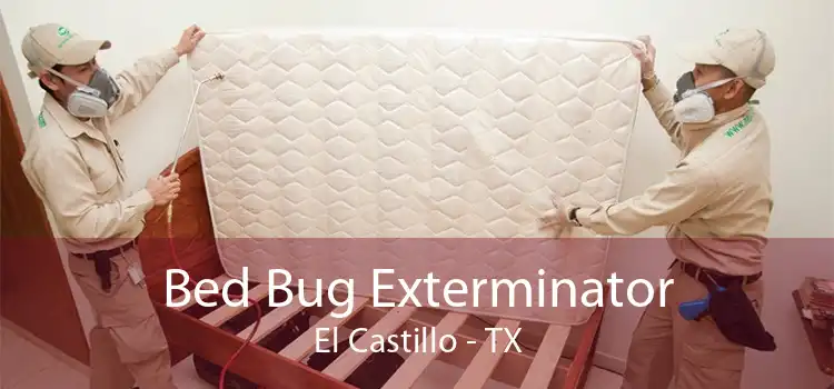 Bed Bug Exterminator El Castillo - TX