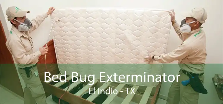 Bed Bug Exterminator El Indio - TX