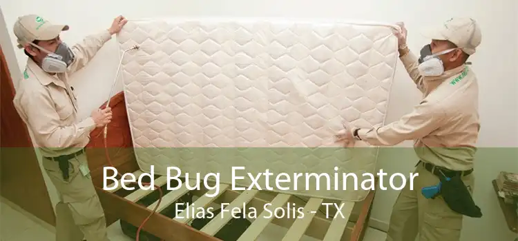 Bed Bug Exterminator Elias Fela Solis - TX