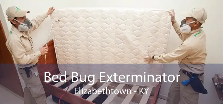 Bed Bug Exterminator Elizabethtown - KY