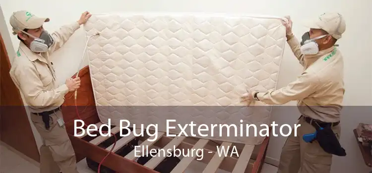 Bed Bug Exterminator Ellensburg - WA