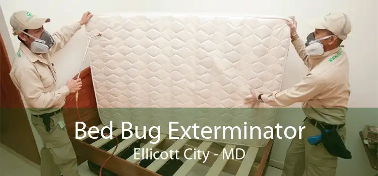Bed Bug Exterminator Ellicott City - MD