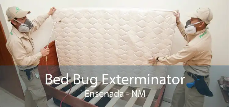 Bed Bug Exterminator Ensenada - NM