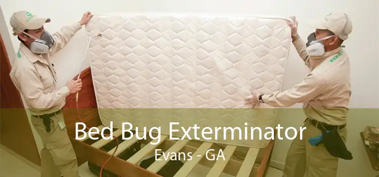 Bed Bug Exterminator Evans - GA