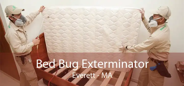 Bed Bug Exterminator Everett - MA