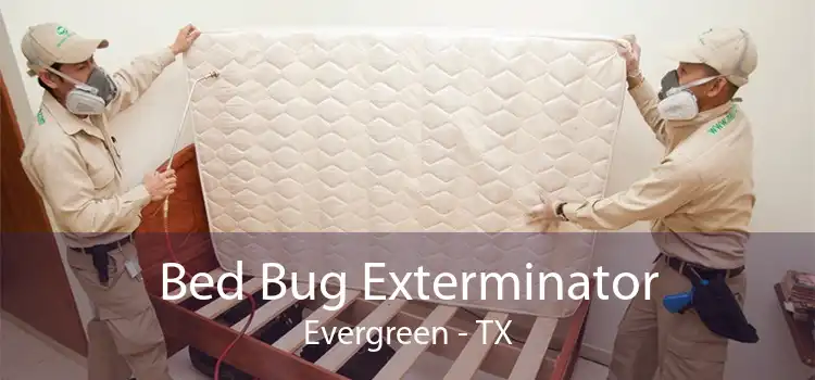 Bed Bug Exterminator Evergreen - TX