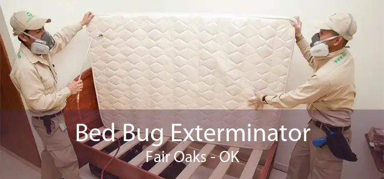 Bed Bug Exterminator Fair Oaks - OK