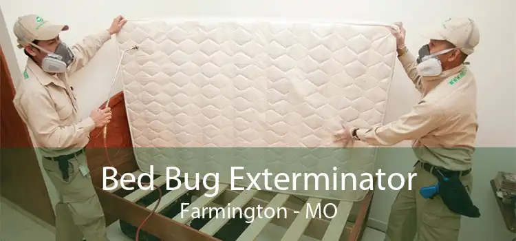 Bed Bug Exterminator Farmington - MO