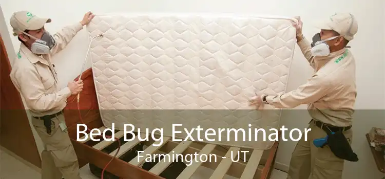 Bed Bug Exterminator Farmington - UT