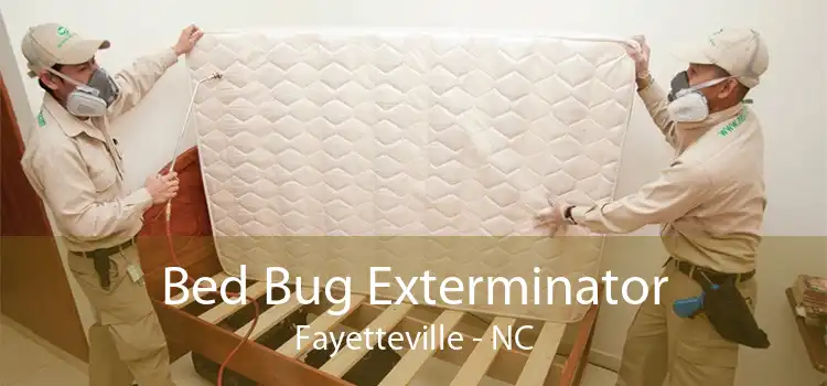Bed Bug Exterminator Fayetteville - NC