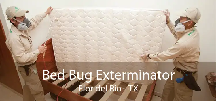 Bed Bug Exterminator Flor del Rio - TX