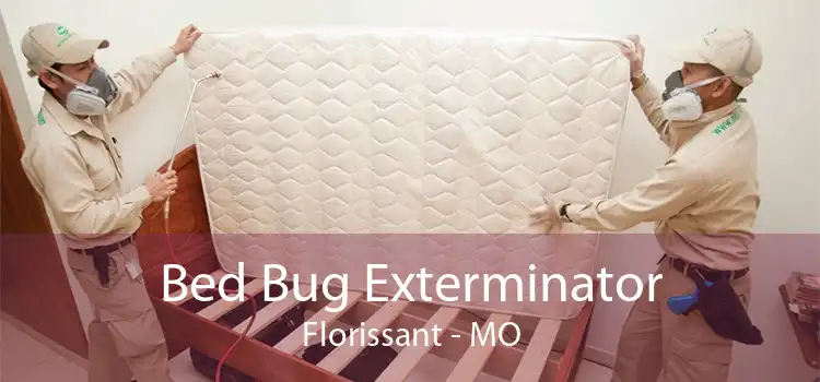 Bed Bug Exterminator Florissant - MO