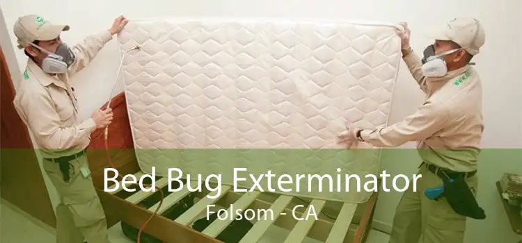 Bed Bug Exterminator Folsom - CA