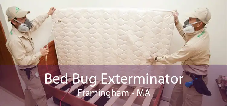 Bed Bug Exterminator Framingham - MA