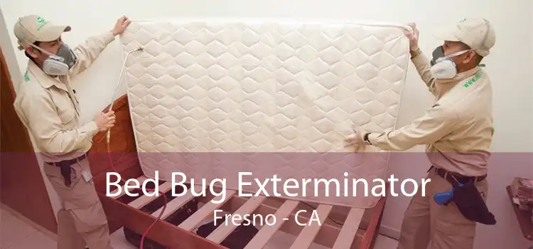 Bed Bug Exterminator Fresno - CA