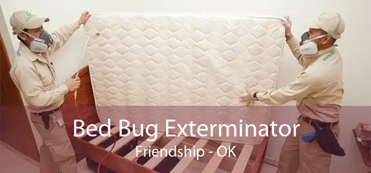 Bed Bug Exterminator Friendship - OK