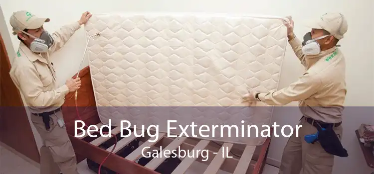 Bed Bug Exterminator Galesburg - IL