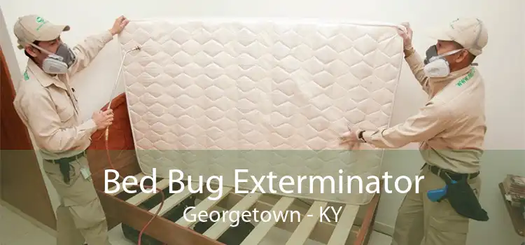 Bed Bug Exterminator Georgetown - KY