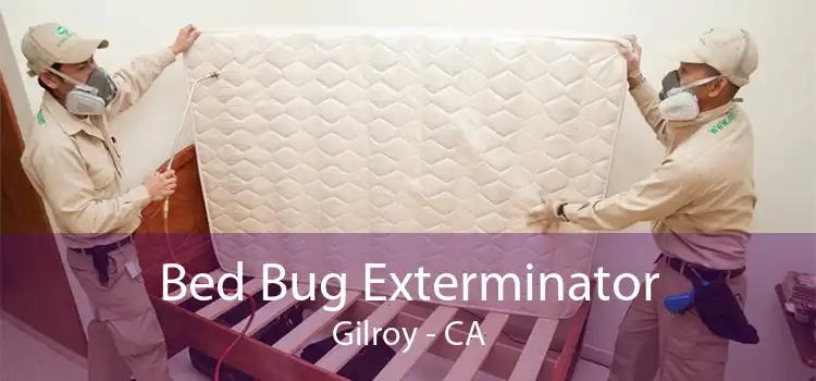 Bed Bug Exterminator Gilroy - CA