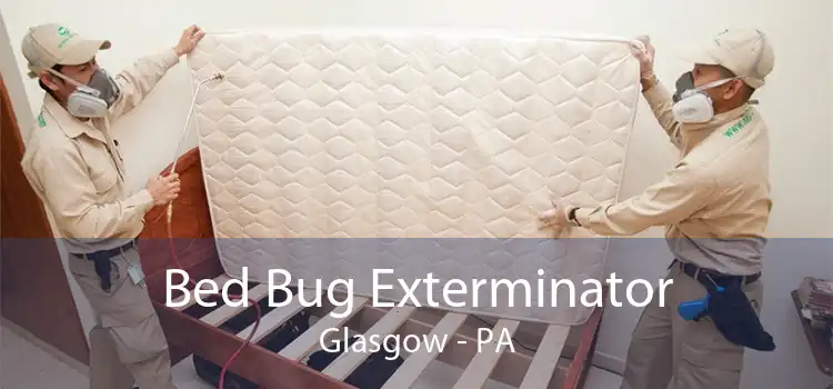 Bed Bug Exterminator Glasgow - PA