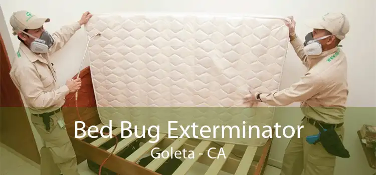 Bed Bug Exterminator Goleta - CA