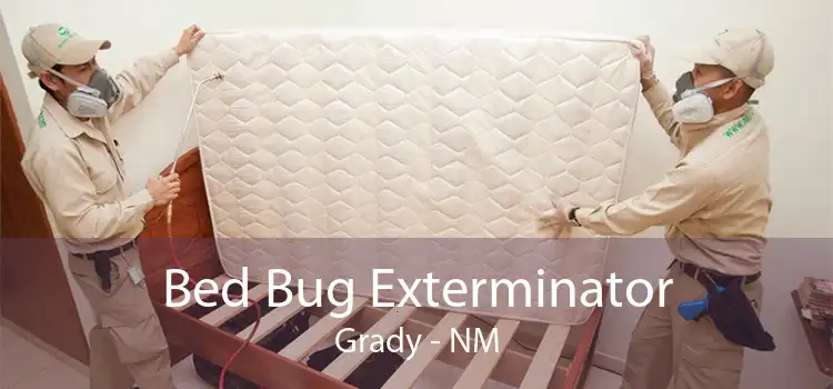 Bed Bug Exterminator Grady - NM