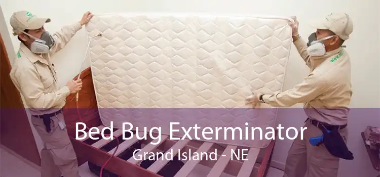 Bed Bug Exterminator Grand Island - NE
