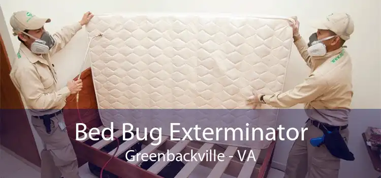 Bed Bug Exterminator Greenbackville - VA