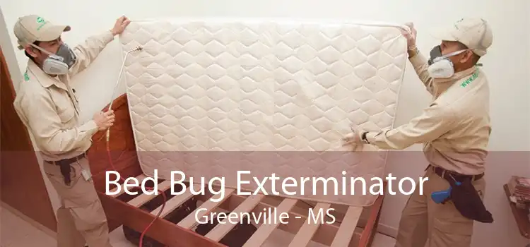 Bed Bug Exterminator Greenville - MS