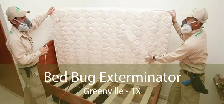 Bed Bug Exterminator Greenville - TX